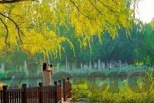 澳门赌场赢钱能走吗-澳门赌场赢钱能否带走，法律与现实的考量