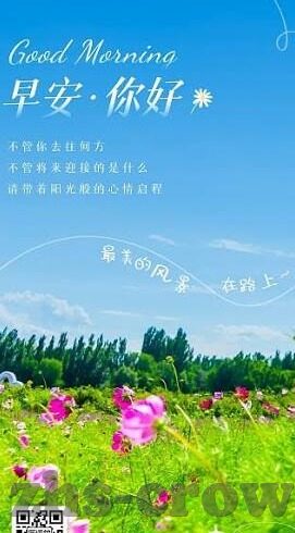 男篮世界杯与世预赛-男篮世界杯与世预赛，竞技舞台上的较量与成长